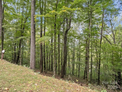 0 MacAllan Dr unit 16, Waynesville, NC 28786 - photo 4