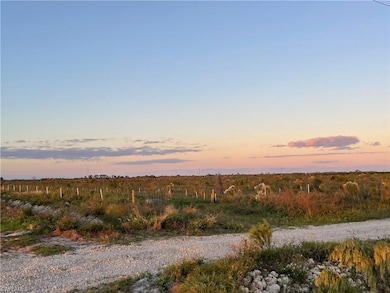 6694 5th Rd, Labelle, FL 33935 - photo 3