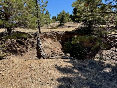 TBD Derigo Ln, Westcliffe, CO 81252 - photo 5