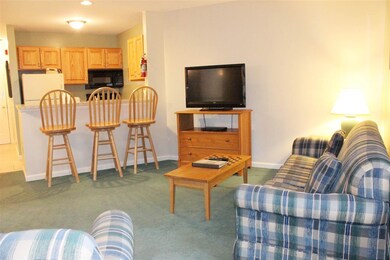 156 Deer Park Dr unit 127 A, Woodstock, NH 03262 - photo 7