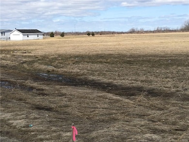 neighbor from left boundary
