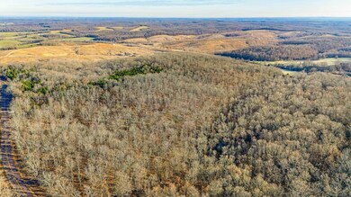 DJI_20241203090652_0348_D