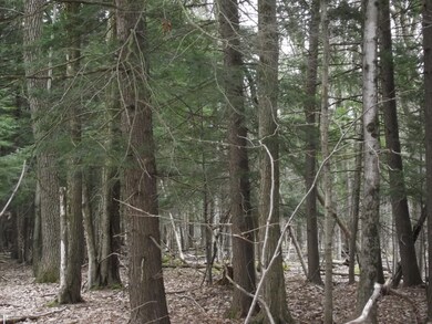 DSCF5221