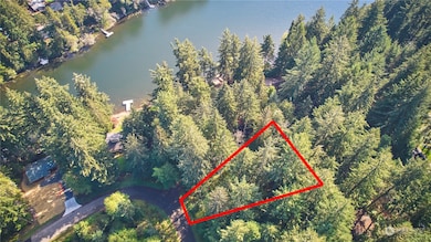 11114 106th St, Anderson Island, WA 98303 - photo 5