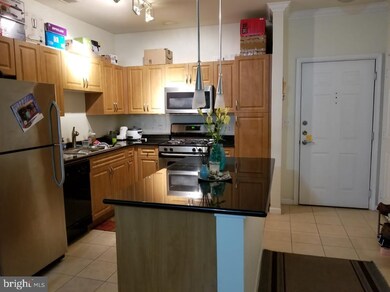 Bryson At Woodland Park unit 405, Herndon, VA 20171 - photo 6