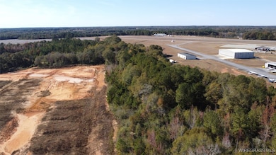 2318 County Road 622, Enterprise, AL 36330 - photo 6