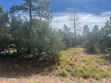 Lot 54
