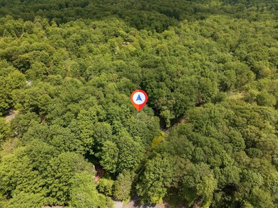 DJI_20250701114438_0502_D-Edit