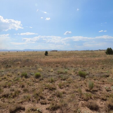 26600 N Bull Snake Rd, Paulden, AZ 86334 - photo 5