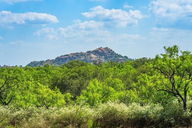 7602 County Road 113, Llano, TX 78643 - photo 2