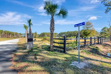 3021 Doar Creek Trail, Awendaw, SC 29429 - photo 2