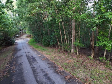 L 48C Byron St, Blairsville, GA 30512 - photo 2