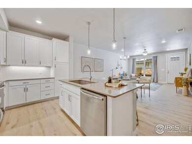 968 Birdwhistle Ln unit 6, Fort Collins, CO 80524 - photo 6