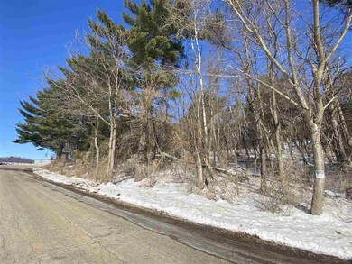 Lot 17 Pine Tree Rd, Jordan, WI 53566 - photo 3