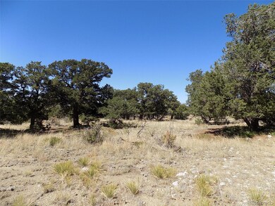 0 Mill Run Rd, Mosca, CO 81146 - photo 4