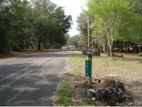 Road view