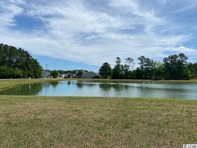 1141 Pecan Grove Blvd, Conway, SC 29527 - photo 4