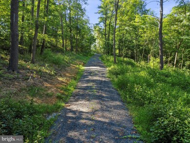 TBD Oak Ridge Rd, Edinburg, VA 22824 - photo 5