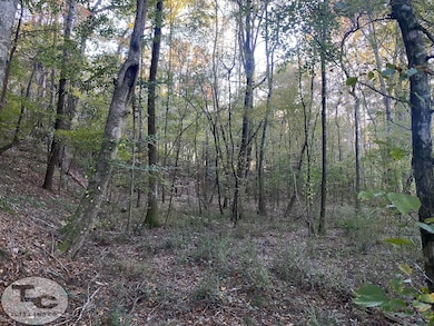 2081 Gallatin St, Hazlehurst, MS 39083 - photo 6