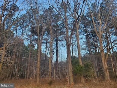 0 Gravel Branch Rd unit MDDO2001942, Hurlock, MD 21643 - photo 6