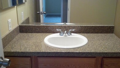 Guest Bath Sink