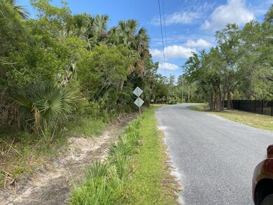 xxx Gator Trail, Other Florida, FL 32327 - photo 4