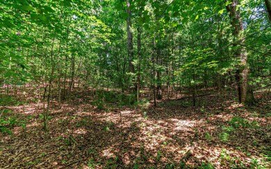 Additional View