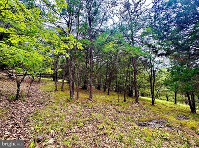 TBD Dumpling Run Rd, Moorefield, WV 26836 - photo 5