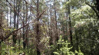 0 Sea Horse Dr 2nd unit 1 292596, Perry, FL 32348 - photo 5