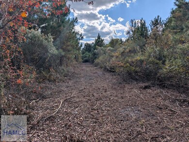 00 U S 301, Jesup, GA 31546 - photo 5