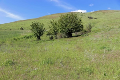 TBD Sunnyside Bench Rd, Lenore, ID 83541 - photo 5