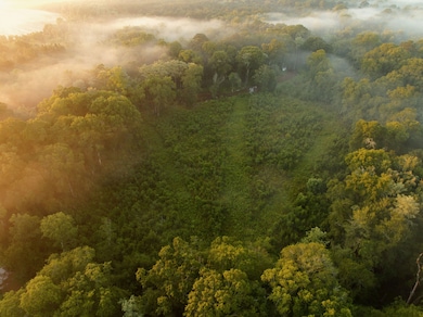 914 Douthit Rd, Sylvester, GA 31791 - photo 3