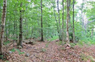 00 Hemenway Rd, Ludlow, VT 05149 - photo 6