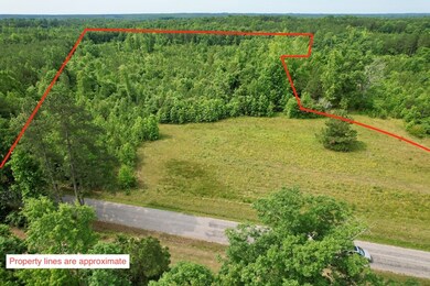 642 Grubby Rd, Wilsons, VA 23894 - photo 3