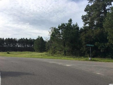 0 Whispering Hills Rd, Loris, SC 29569 - photo 6