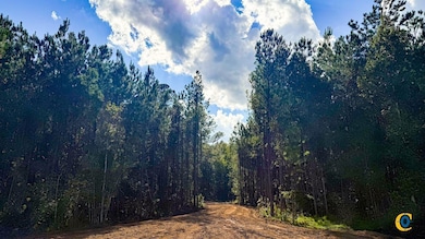 0 Peurifoy Rd unit 25510565, Walterboro, SC 29488 - photo 3