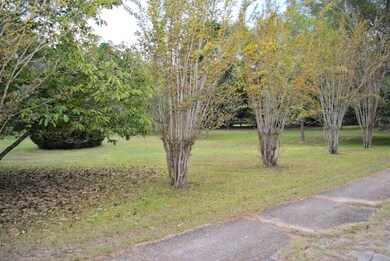 Landscaping by the driveway