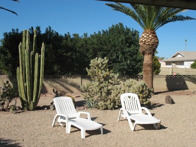 Relax in the Arizona Sunshine