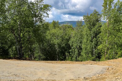 Memory Hills II lot 9
