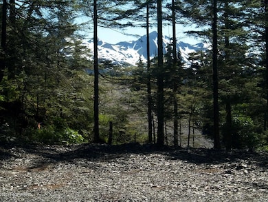 101 Cabin Ridge Rd, Cordova, AK 99574 - photo 6