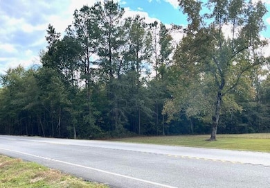 TBD Bloomville Rd, Manning, SC 29102 - photo 3