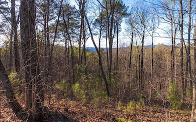 Additional View