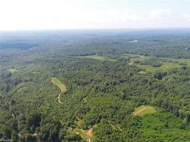 252 Palm Rd, Reidsville, NC 27320 - photo 7