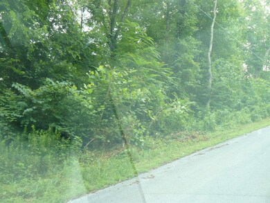 Lots 1-3 Rose Hill Ln, Rutledge, TN 37861 - photo 3