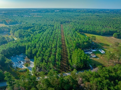 Hwy 45, Loris, SC 29569 - photo 3