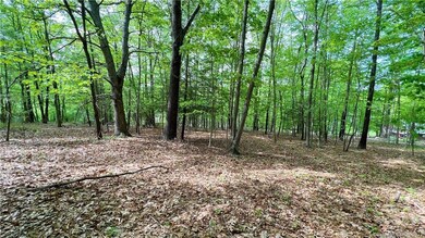 0 Storrs Rd unit 2 170571015, Mansfield Center, CT 06250 - photo 3