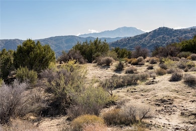 0 Magnolia Dr, Morongo Valley, CA 92256 - photo 6