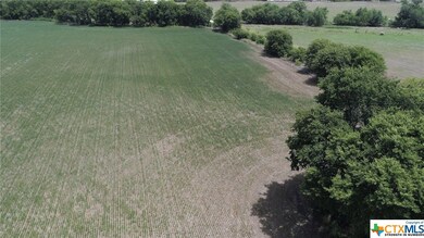 TBD Montgomery Ln, Moody, TX 76557 - photo 5