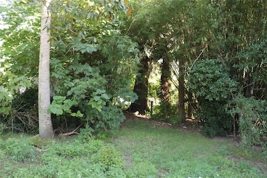 14150 NE 110th Avenue Rd, Fort Mc Coy, FL 32134 - photo 7