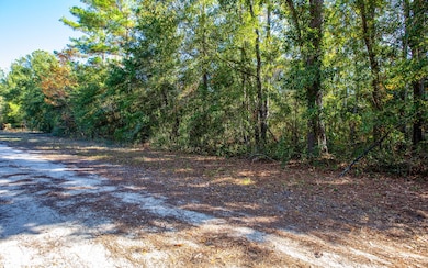 00 177th Ln, Live Oak, FL 32060 - photo 2